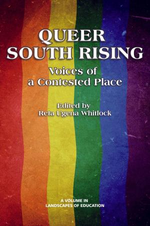 bigCover of the book Queer South Rising by 