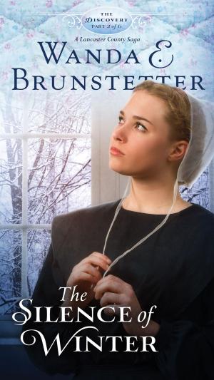Cover of the book The Silence of Winter by Darlene Franklin