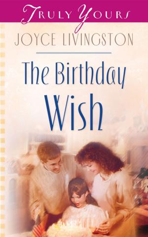Cover of the book The Birthday Wish by Ed Strauss