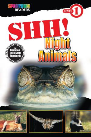 Book cover of Shh! Night Animals
