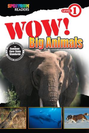 Cover of the book Wow! Big Animals by Brighter Child, Carson-Dellosa Publishing