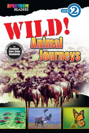 Book cover of Wild! Animal Journeys