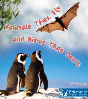 Book cover of Animals That Fly and Birds That Don't