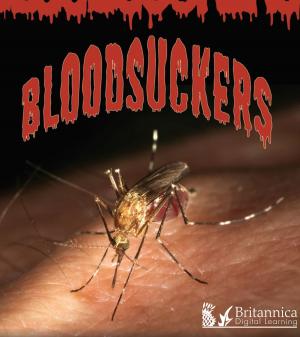 Cover of the book Bloodsuckers by Tom Greve