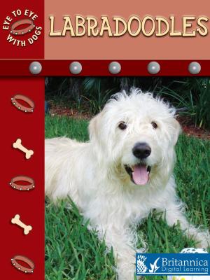 Cover of the book Labradoodles by Ann H. Matzke