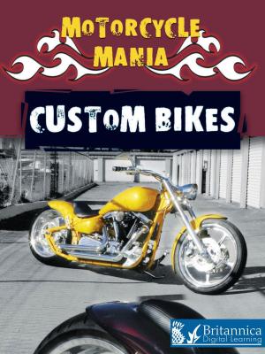 Book cover of Custom Bikes