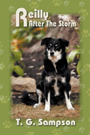Cover of the book Reilly After The Storm by Ed Riviera