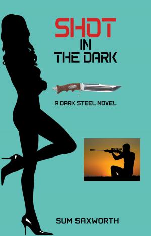 Cover of the book Shot in the Dark by J. Anson Brandes