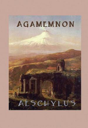 Cover of the book Agamemnon by Kelly Carrero