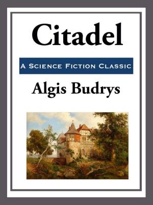 Cover of the book Citadel by Poul Anderson