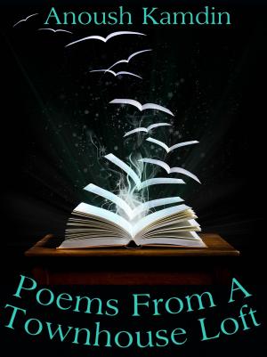 Cover of the book Poems From A Townhouse Loft by J.R. Rogue
