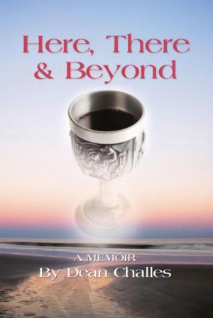 Cover of the book HERE, THERE & BEYOND by Ian Stout