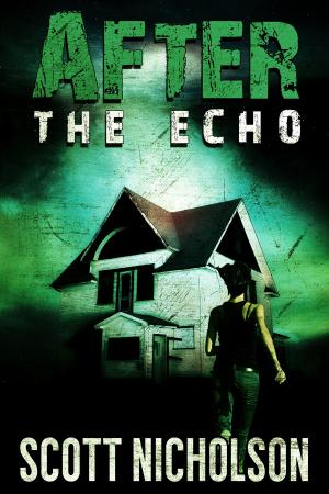 Cover of the book After: The Echo by Raymond Nickford