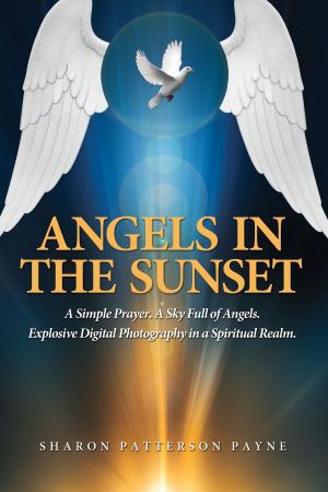 Cover of the book Angels In The Sunset by James Saltzman