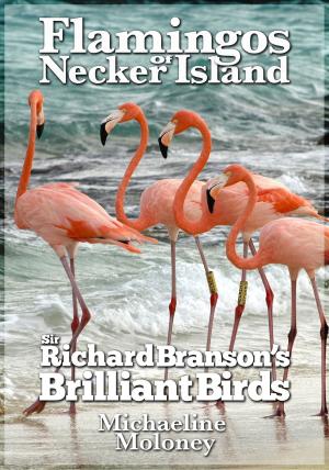 Cover of the book Flamingos of Necker Island by Jan Latta