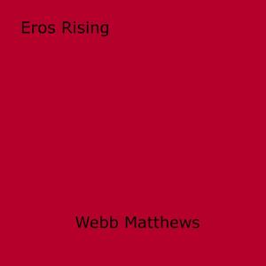 Cover of the book Eros Rising by Nova Chalmers