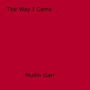 bigCover of the book The Way I Came by 