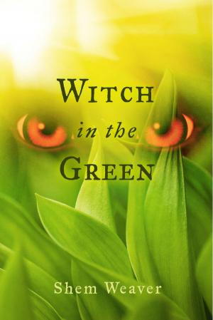 Cover of the book Witch in the Green by A.T.Dubya