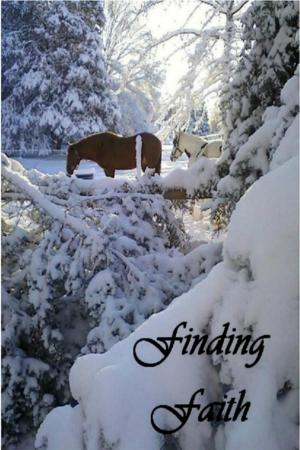 Cover of the book Finding Faith by Marianna Torgovnick