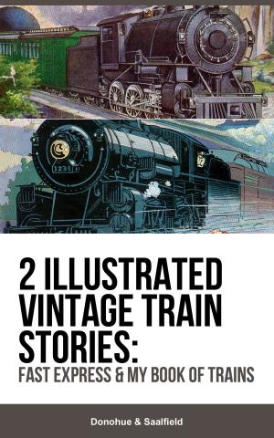 bigCover of the book 2 Illustrated Vintage Train Stories: Fast Express & My Book of Trains by 