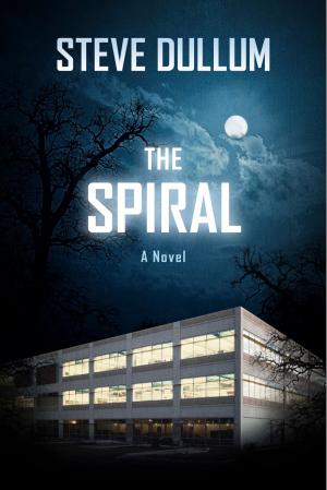 Cover of the book The Spiral by Zane Safrit