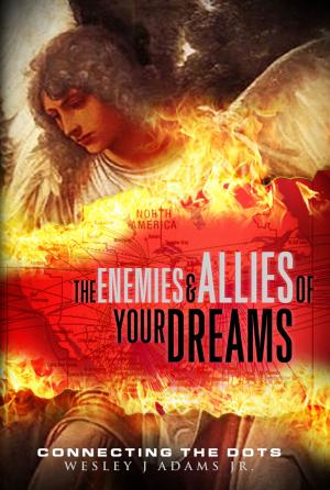 Cover of the book The Enemies and Allies of your Dreams by 河合隼雄