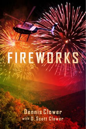Cover of the book Fireworks by Eva Gillhouse and Frank 