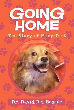 Cover of the book Going Home by Nancy Dina Scaglione-Peck