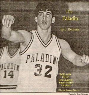 Cover of the book The Paladin by L. Gary O'Neal