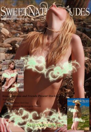 Cover of the book Aimee Addison and Friends Present Stockings in Desert by David Weisenbarger