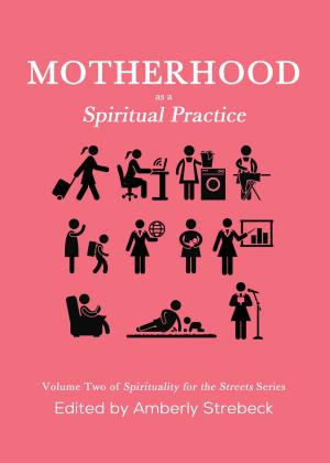 Cover of the book Motherhood as a Spiritual Practice: Volume Two of Spirituality for the Streets Series by Verlon Fosner
