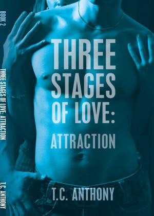 Cover of the book Three Stages of Love: Attraction by Heather Marie Adkins