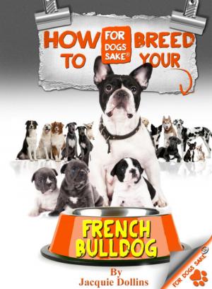 Book cover of How to Breed your French Bulldog
