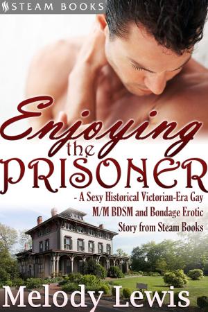 Cover of Enjoying the Prisoner - A Sexy Historical Victorian-Era Gay M/M BDSM and Bondage Erotic Story from Steam Books