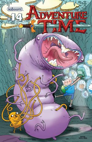Cover of Adventure Time #14