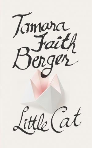 Cover of the book Little Cat by Anne Enright