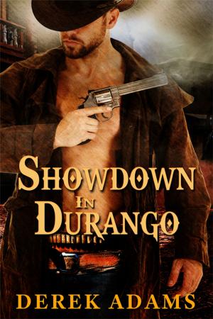 Cover of the book Showdown in Durango by Ravon Silvius