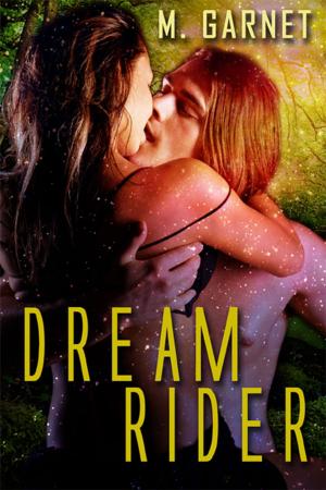 Book cover of Dream Rider