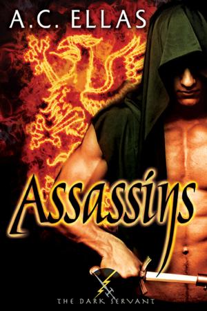 Cover of the book Assassins by Jackie Nacht
