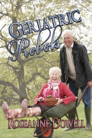 Cover of the book Geriatric Rebels by Mary Kelly