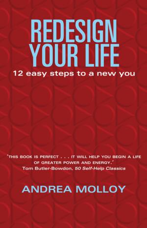 Cover of the book Redesign Your Life by Sandy McKay