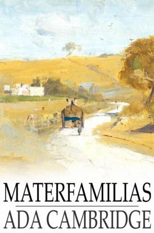 Cover of the book Materfamilias by Ron Burrows
