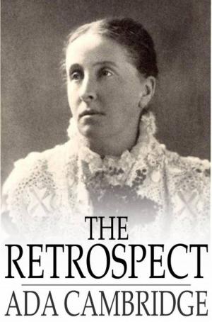 Cover of the book The Retrospect by Bob Brown