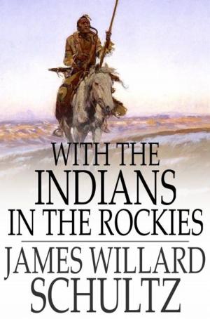 Cover of the book With the Indians in the Rockies by Ron Chandler