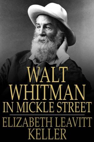 bigCover of the book Walt Whitman in Mickle Street by 