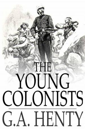 Cover of the book The Young Colonists by Tom Fallwell
