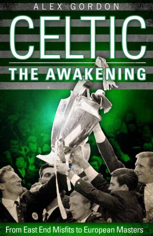 Cover of the book Celtic: The Awakening by Paul Ferris, Reg McKay