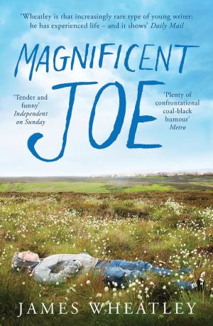 Cover of the book Magnificent Joe by Richard C. Martin, Mark Woodward, Dwi S. Atmaja