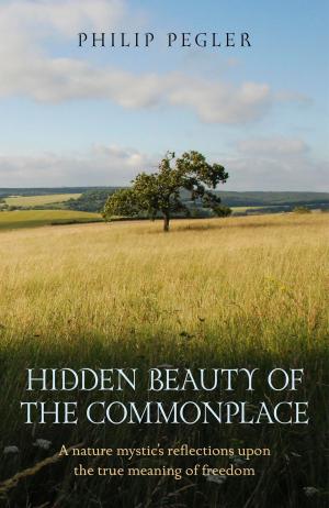 Cover of the book Hidden Beauty of the Commonplace by Jim Robertson