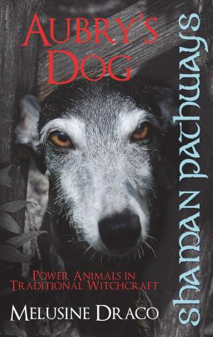 Cover of the book Shaman Pathways - Aubry's Dog: Power Animals In Traditional Witchcraft by Heather Jayne Wynn